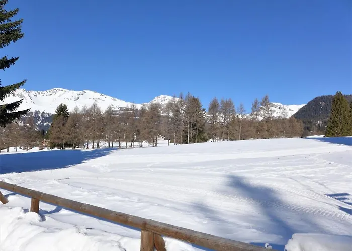 Du Golf A 07 By Interhome Daire *